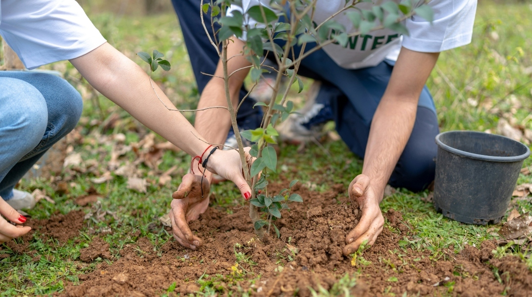 Oι δενδροφυτεύσεις του Δήμου Αθηναίων σε έναν διαδραστικό χάρτη