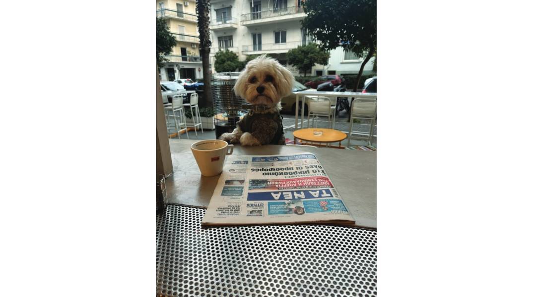 Boost:Το all day στέκι σου στου Ζωγράφου