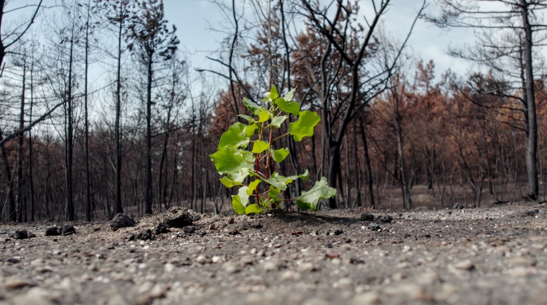 Έβρος – 17 μέρες μετά: Ο Σάκης Γιούμπασης μιλάει για το φιλμ που προβάλλεται στο 26ο Φεστιβάλ Ντοκιμαντέρ Θεσσαλονίκης