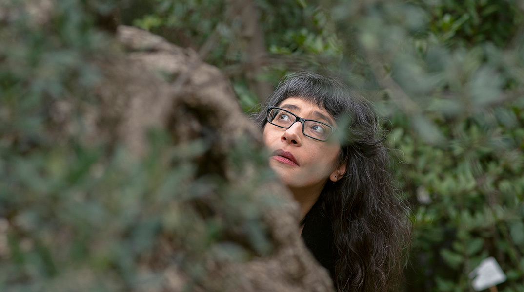 Μαρία Σταυροπούλου, ποιος είναι ο «παρΑνοϊκός δολοφόνος λέξεων»;