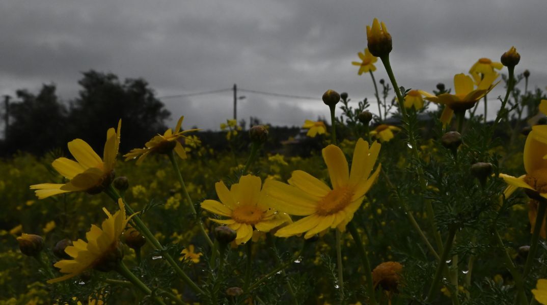 Πρόγνωση καιρού: Βροχές και καταιγίδες την Κυριακή 17 Μαρτίου - Σε φυσιολογικά για την εποχή επίπεδα η θερμοκρασία. 