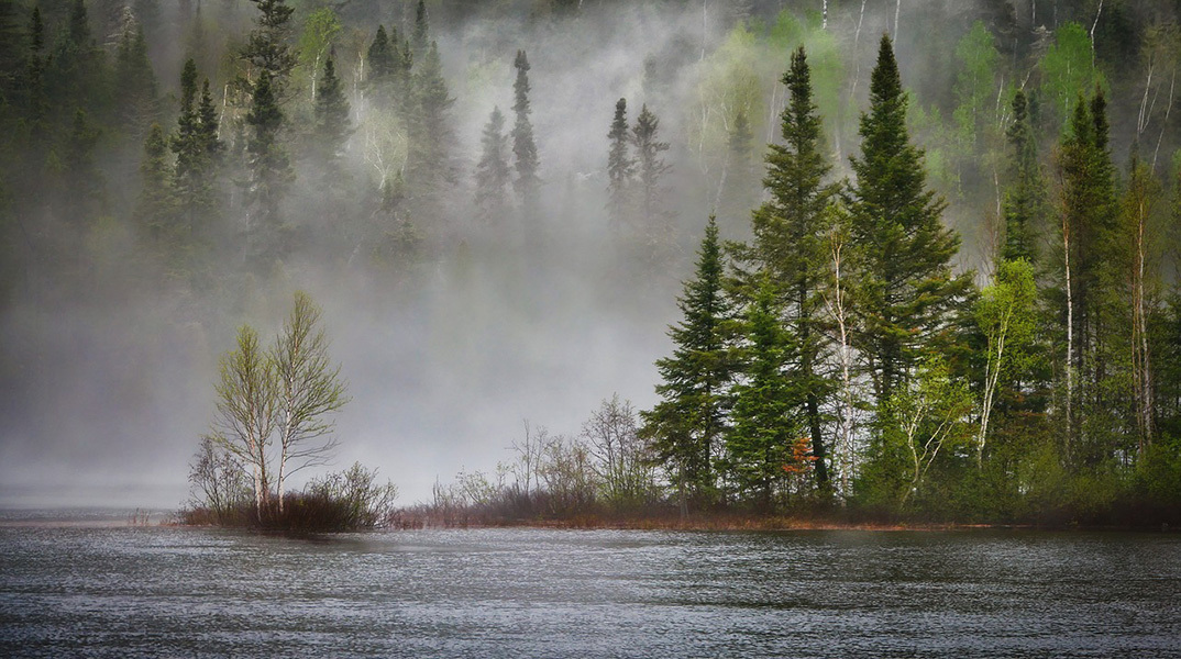 Η βιοποικιλότητα ίσως κρατά το κλειδί για το μέλλον του πλανήτη