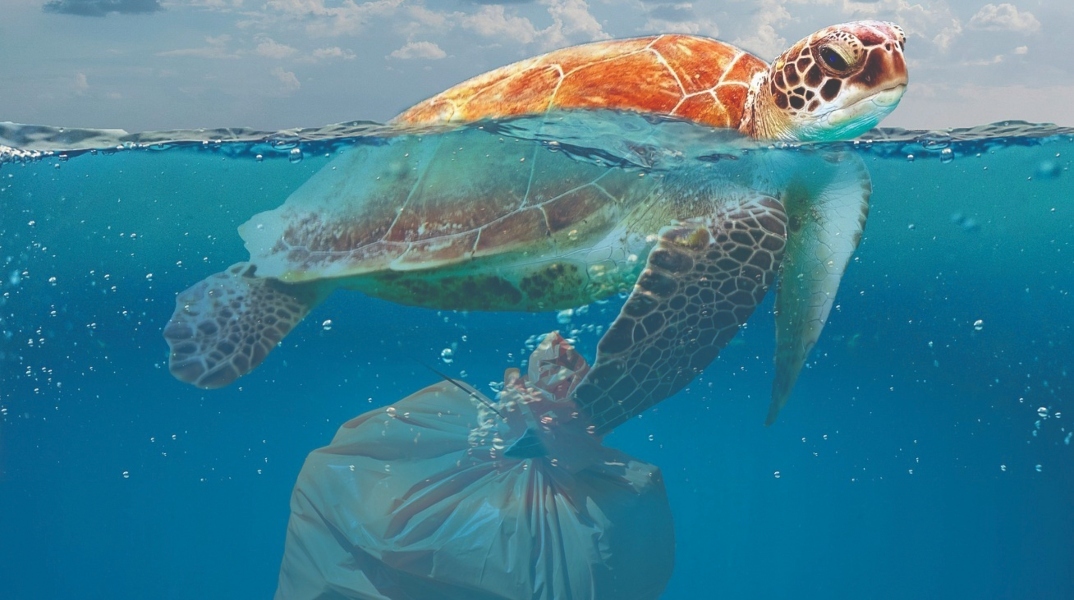 Τι κάνει η Ευρώπη για να πατάξει το περιβαλλοντικό έγκλημα;  