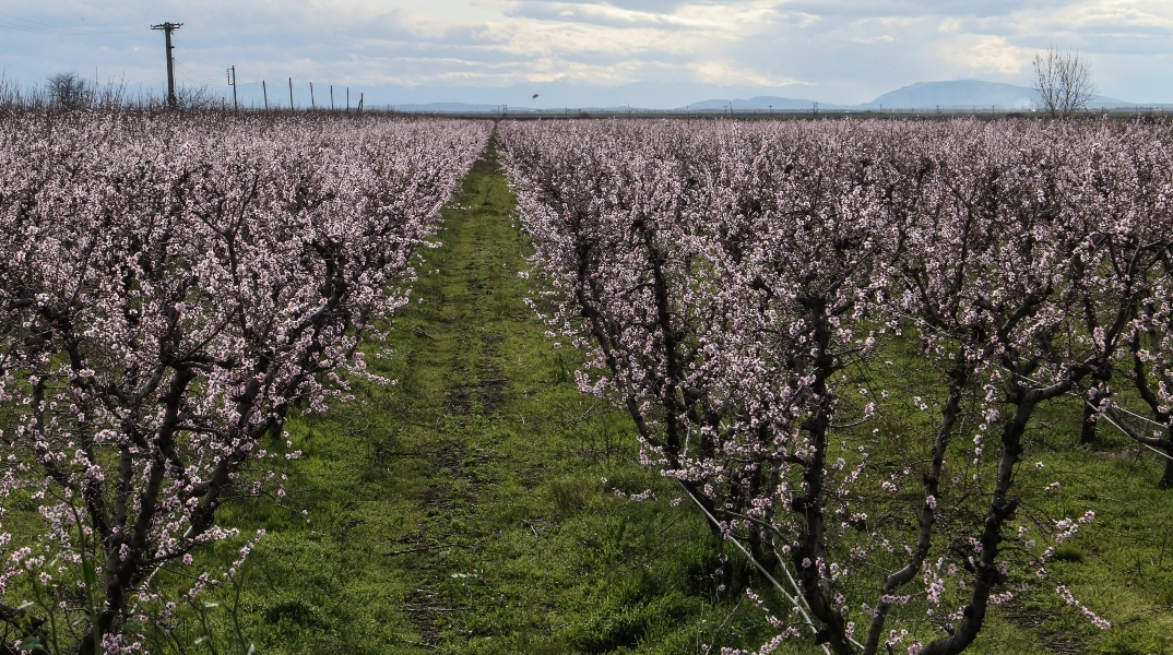 Καιρός σήμερα: Υψηλές θερμοκρασίες και σκόνη 