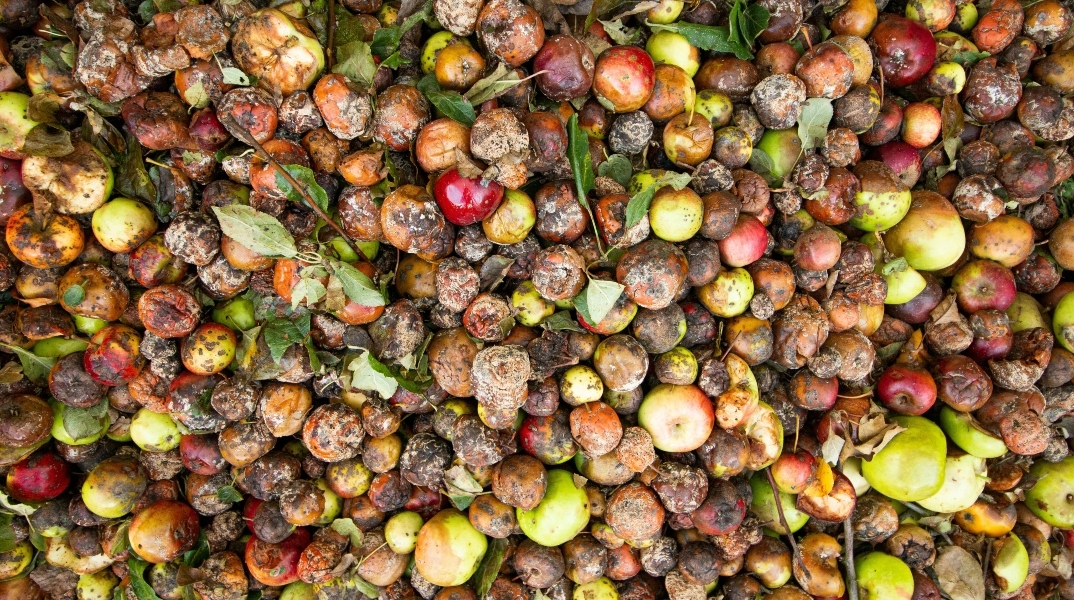 Food waste: Ένα δισ. γεύματα κάθε μέρα στα σκουπίδια 