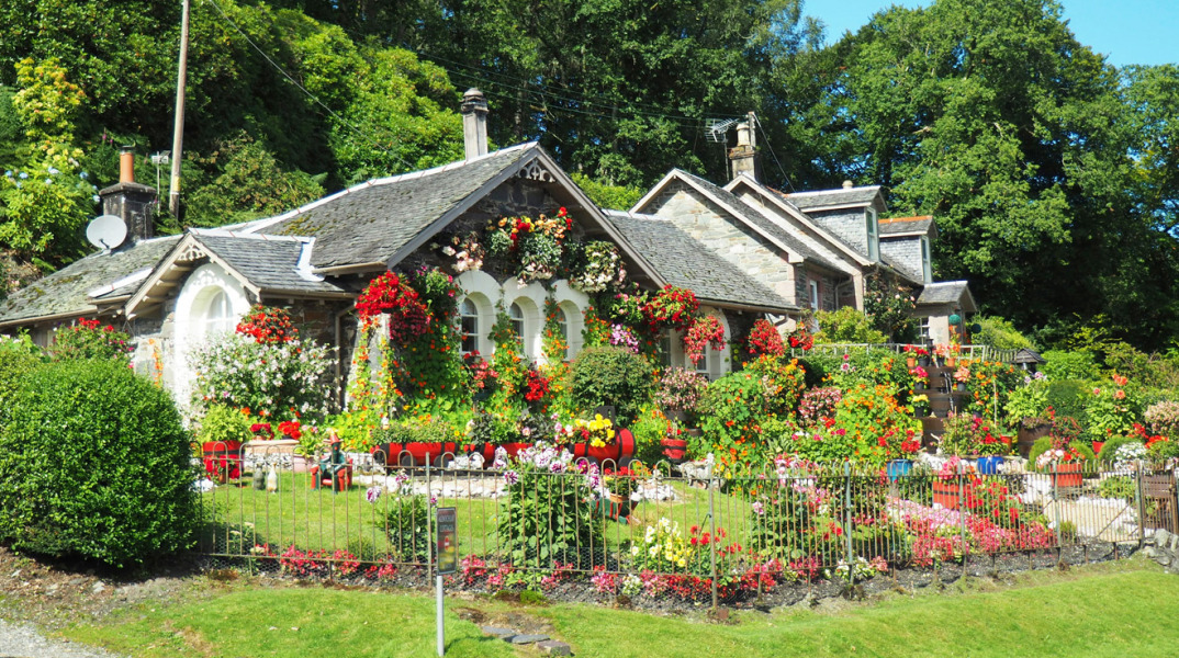 6 τάσεις κήπου 2024