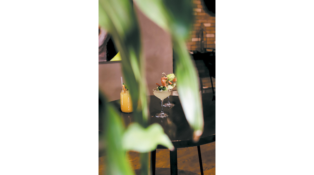 Τα Παπάκια