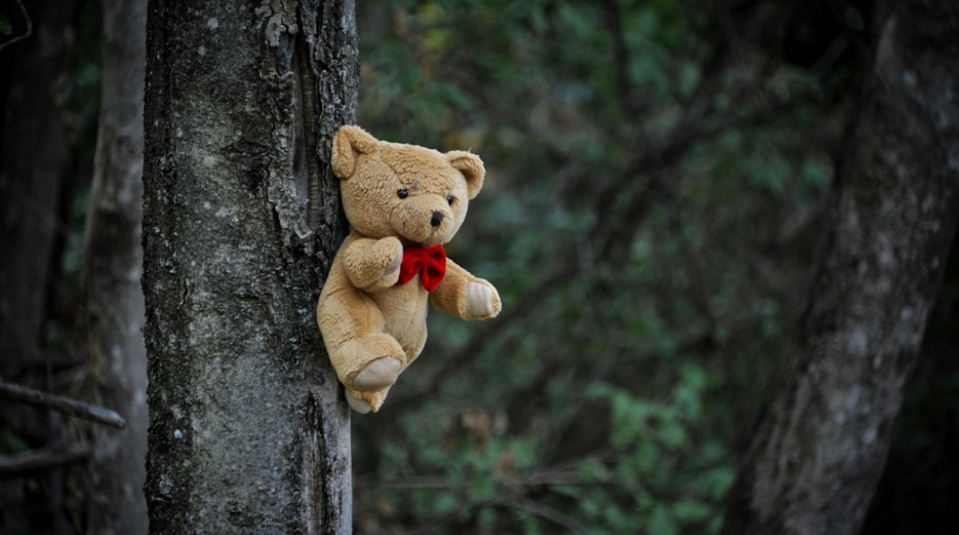 Λούτρινο αρκουδάκι κρεμασμένο σε δέντρο
