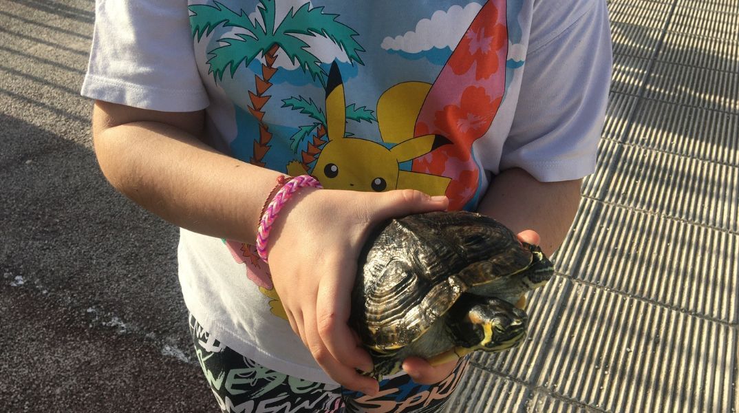 Ηράκλειο: Στο σχολείο με τα κατοικίδιά τους οι μαθητές του 4ου δημοτικού Νέας Αλικαρνασσού - με αφορμή την παγκόσμια ημέρα αδέσποτων ζώων.