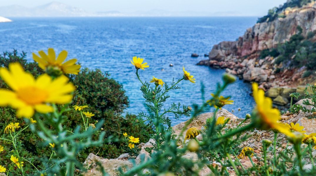 Πρόγνωση καιρού: Ηλιοφάνεια και μικρή άνοδος θερμοκρασίας την Κυριακή 7 Απριλίου - Τοπικές βροχές και μεμονωμένες καταιγίδες.