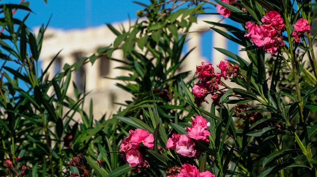 Καιρός: Αίθριος αύριο Δευτέρα 8 Απριλίου με πιθανότητα βροχών - Αναλυτική πρόγνωση από το meteo και την ΕΜΥ.