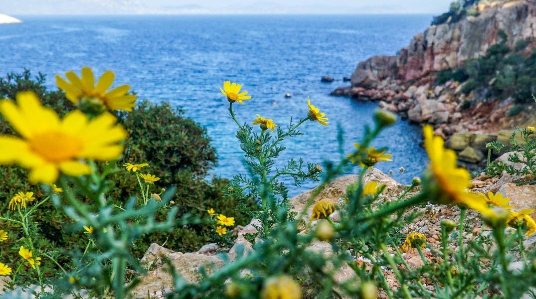 Μία ανοιξιάτικη ημέρα με λουλούδια και φόντο τη θάλασσα