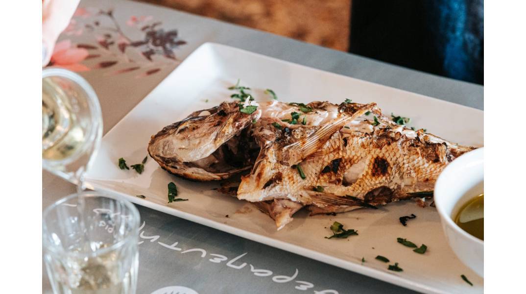 Το Θεραπευτήριο