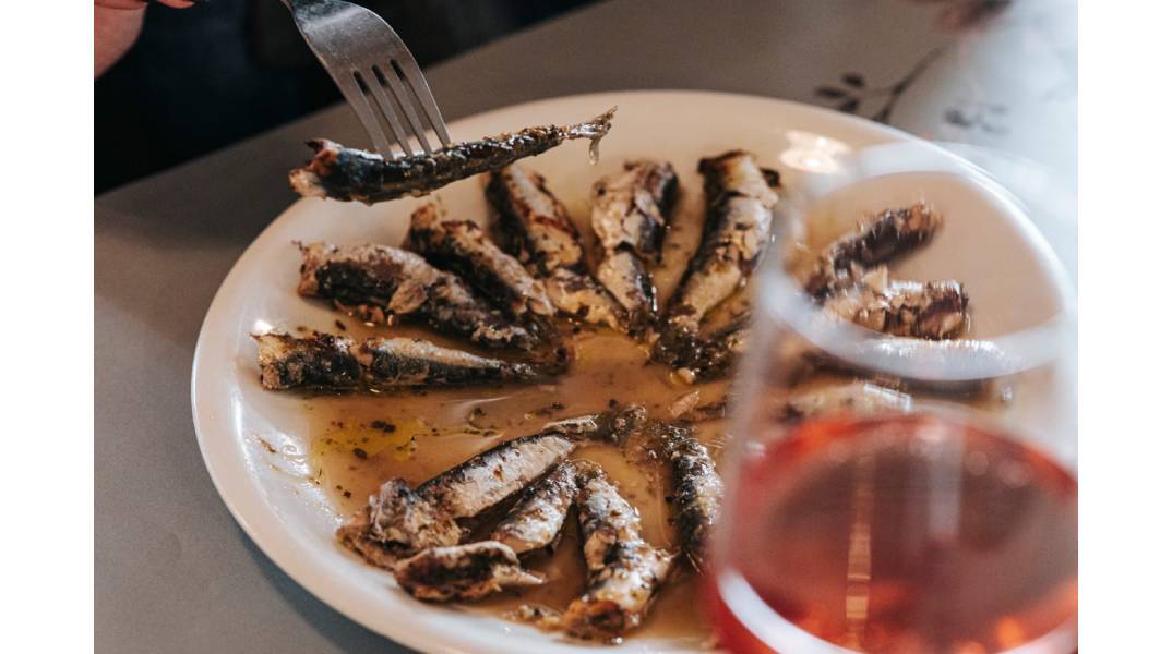 Το Θεραπευτήριο