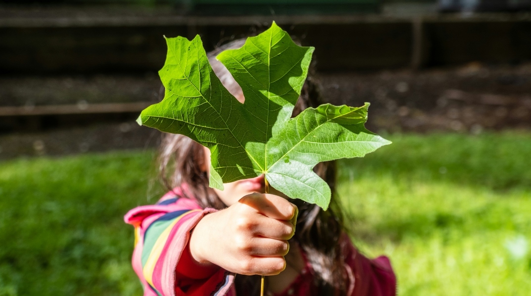 Μεταρρυθμιστικές προτάσεις για το Δίκαιον του Περιβάλλοντος