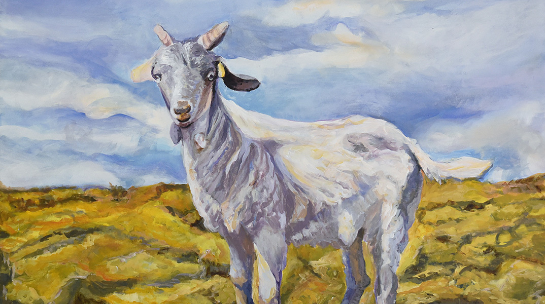 Γεωργία Μπλιάτσου: «Springtime Stories» στον Αστρολάβο-Δεξαμενή