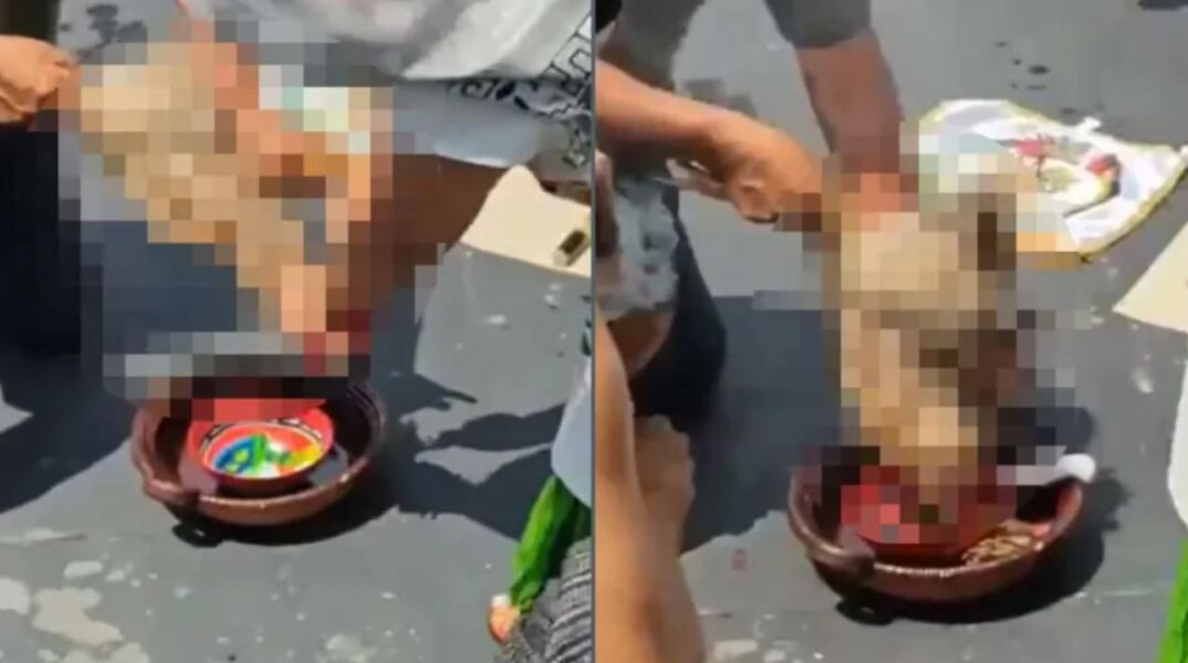 Μεξικό: Κότα θυσιάστηκε μέσα στη Γερουσία