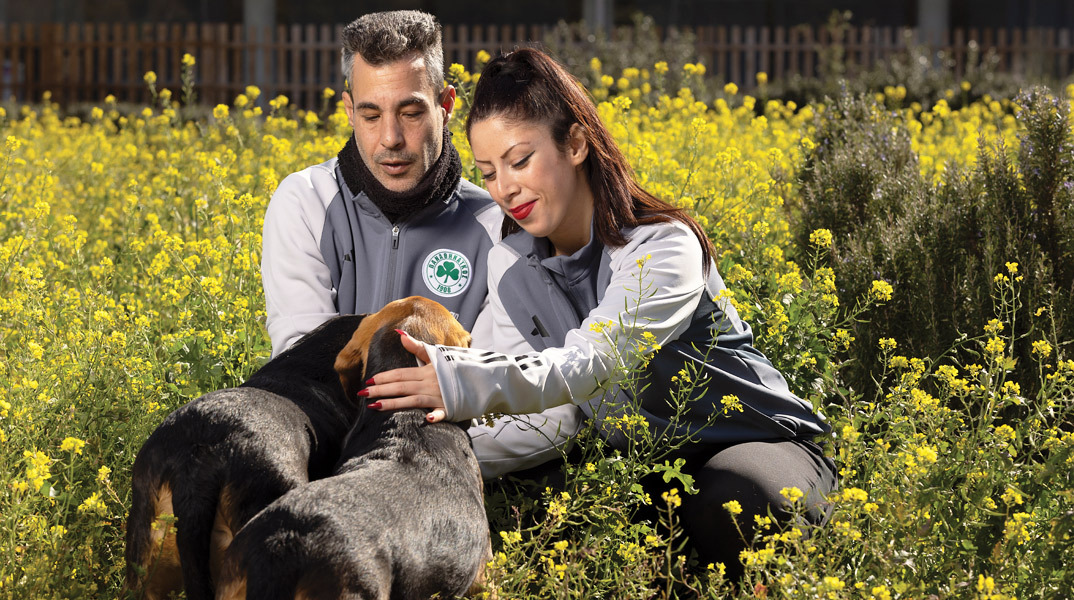 Το «πράσινο» Dog City