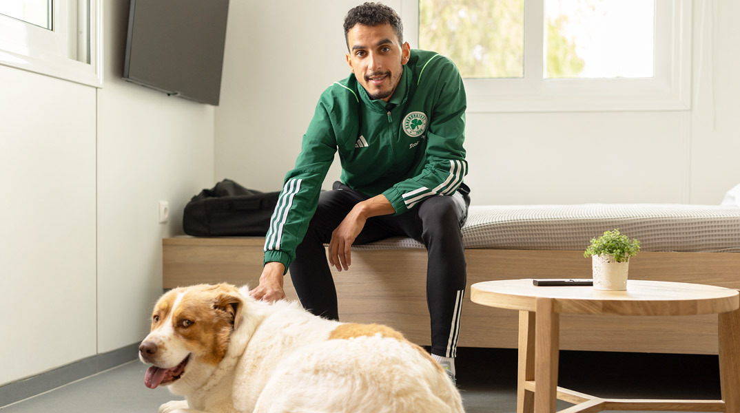 Κάρλος Ζέκα