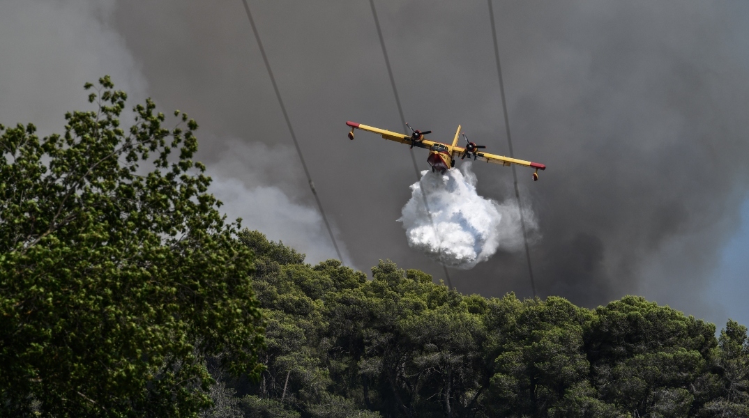 Φωτιά τώρα στην Αγία Τριάδα Βοιωτίας 