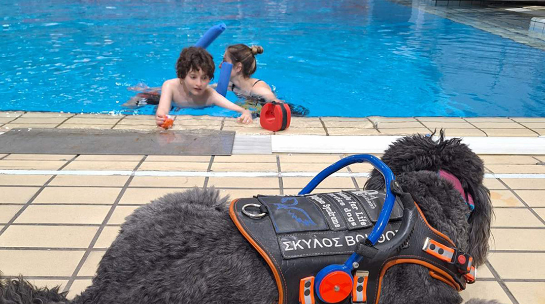 Σκύλος βοηθός: Η ιστορία του Αντώνη Γκούφα και της Bubbles, το έλλειμμα ενημέρωσης και η ανάγκη συμπερίληψης