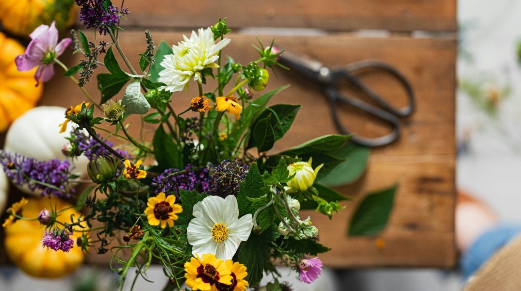 Εορτολόγιο: Σήμερα 10 Μαΐου 2024 γιορτάζει…