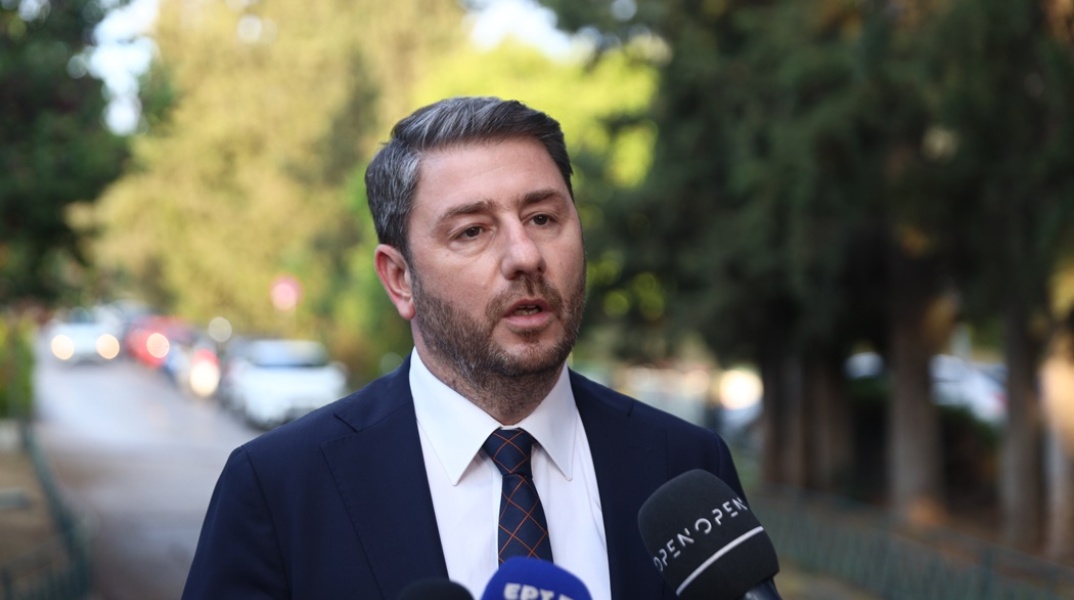 Ο πρόεδρος του ΠΑΣΟΚ - ΚΙΝΑΛ, Νίκος Ανδρουλάκης