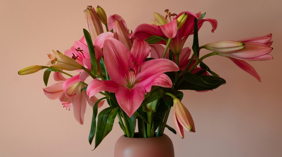 Εορτολόγιο: Σήμερα 26 Αυγούστου 2024 γιορτάζει…