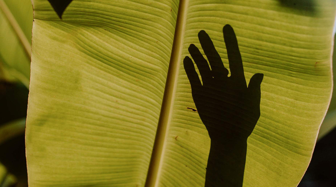 Ημερίδα του Clima21 για την «πράσινη» μετάβαση