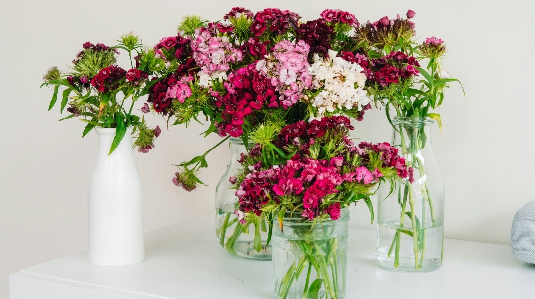 Εορτολόγιο: Σήμερα 20 Μαΐου 2024 γιορτάζει…