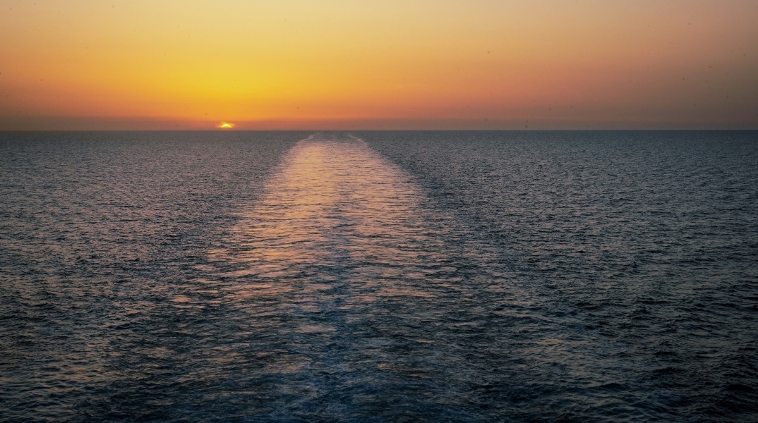 Το Αιγαίο ανήκει στα ψάρια του;