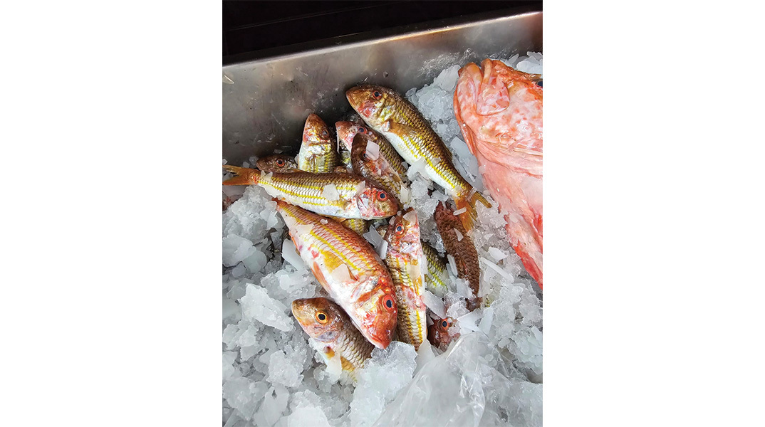 Ε/Γ Ταξιδεύοντας