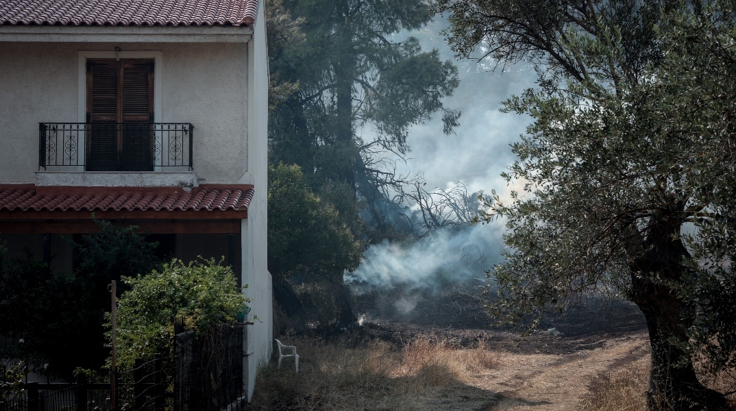 Πυροπροστασία: Οδηγός για τα δασικά ακίνητα και ακαθάριστα οικόπεδα 