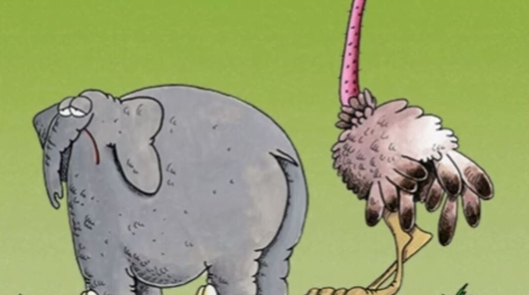 Αρκάς: Η «Καλημέρα» με τον ελέφαντα και τη στρουθοκάμηλο