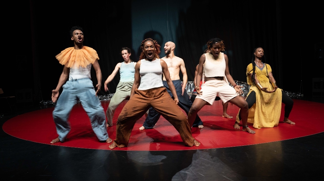 Faso Danse Théâtre, "C la vie"