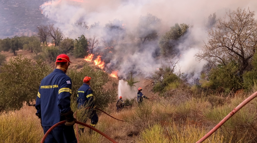 Φωτιά τώρα στη Σπάρτη: Σηκώθηκαν και εναέρια μέσα