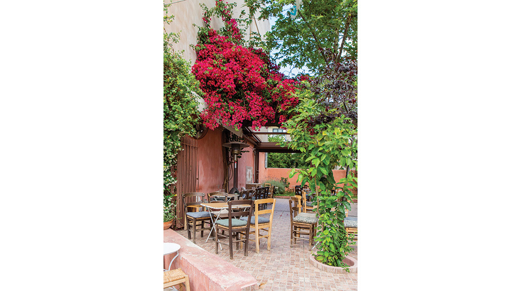 Αυλή: Για νόστιμους μεζέδες και παρεΐστικη διάθεση