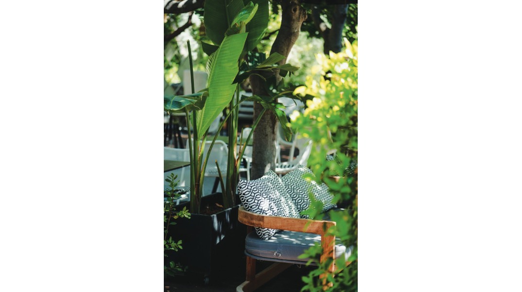 CHALET POLITEIA: Η all day όαση δροσιάς στα βόρεια προάστια