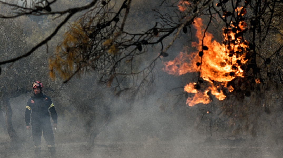 Φωτιά τώρα στη Θεσσαλονίκη στην περιοχή Προφήτης