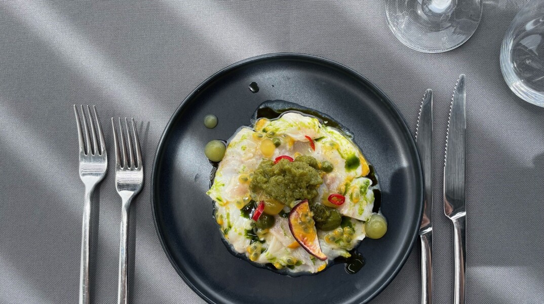 plate_3_ap_chef__06_24