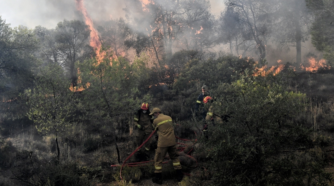 Φωτιά τώρα στη Βοιωτία