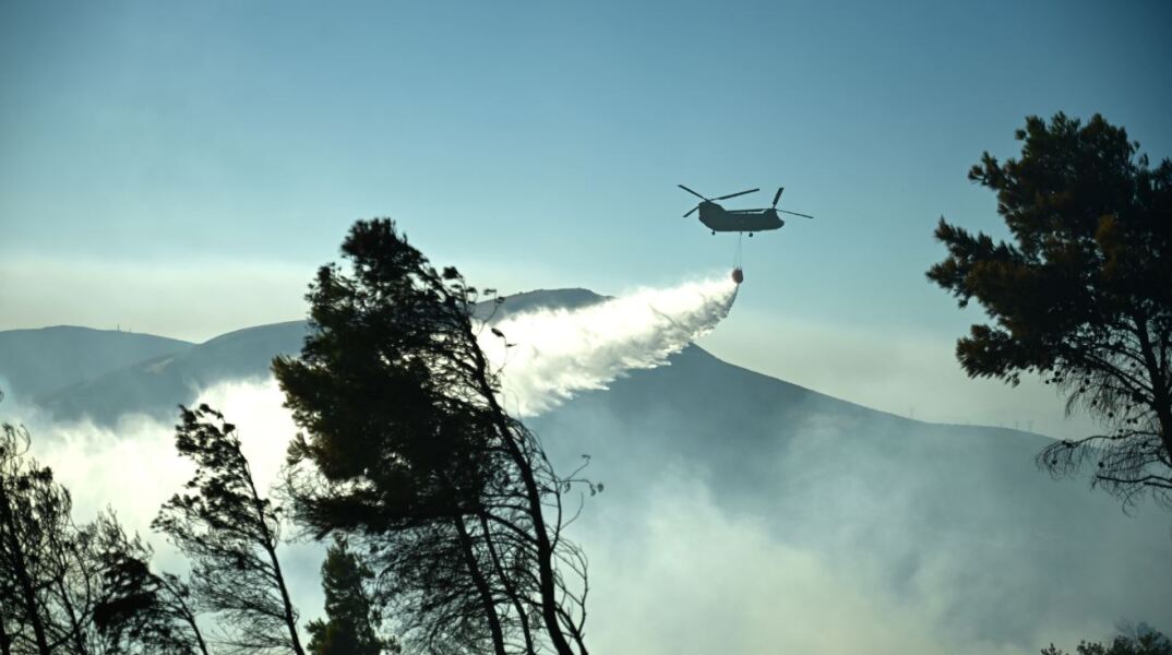 Φωτιά σε Ζάκυνθο και Δίστομο - Ποια η κατάστασή τους