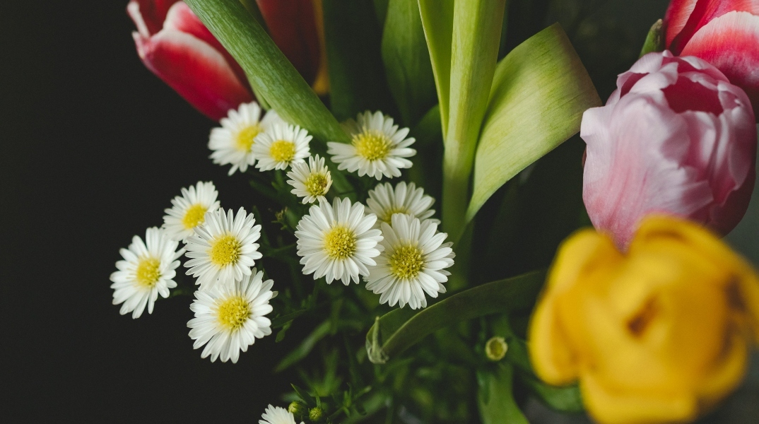 Εορτολόγιο: Σήμερα 4 Ioυλίου 2024 γιορτάζει…