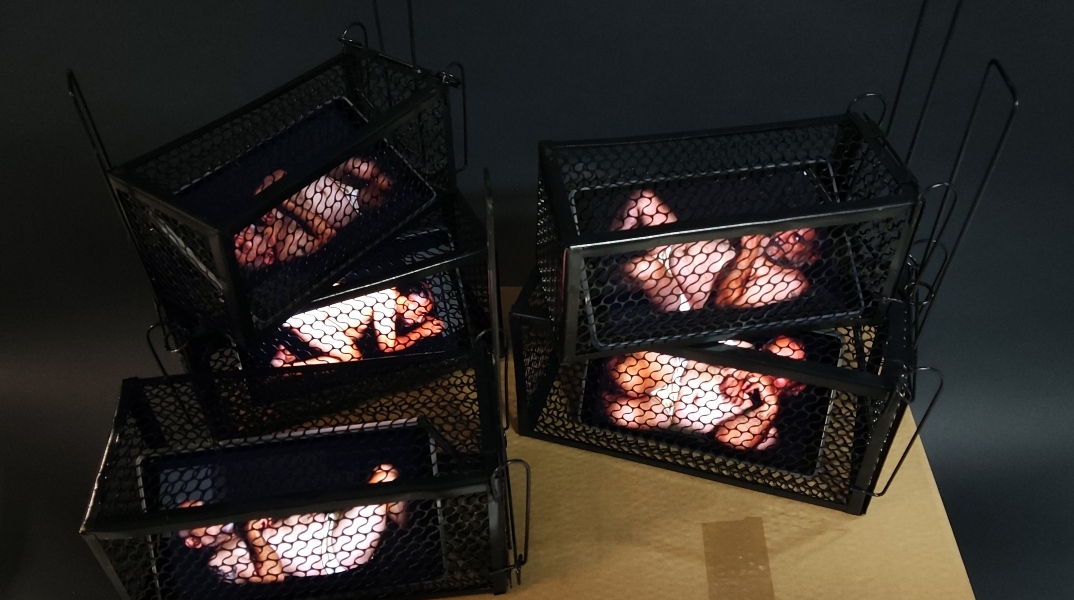 Μπάμπης Βενετόπουλος, "Rats", 2024