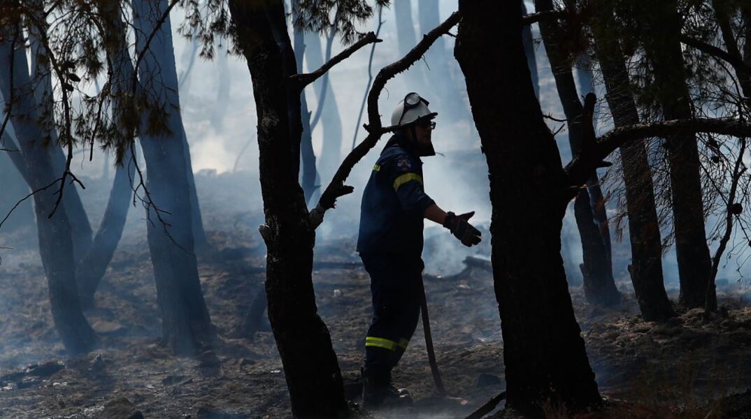 Πυροσβέστης επιχειρεί σε πυρκαγιά