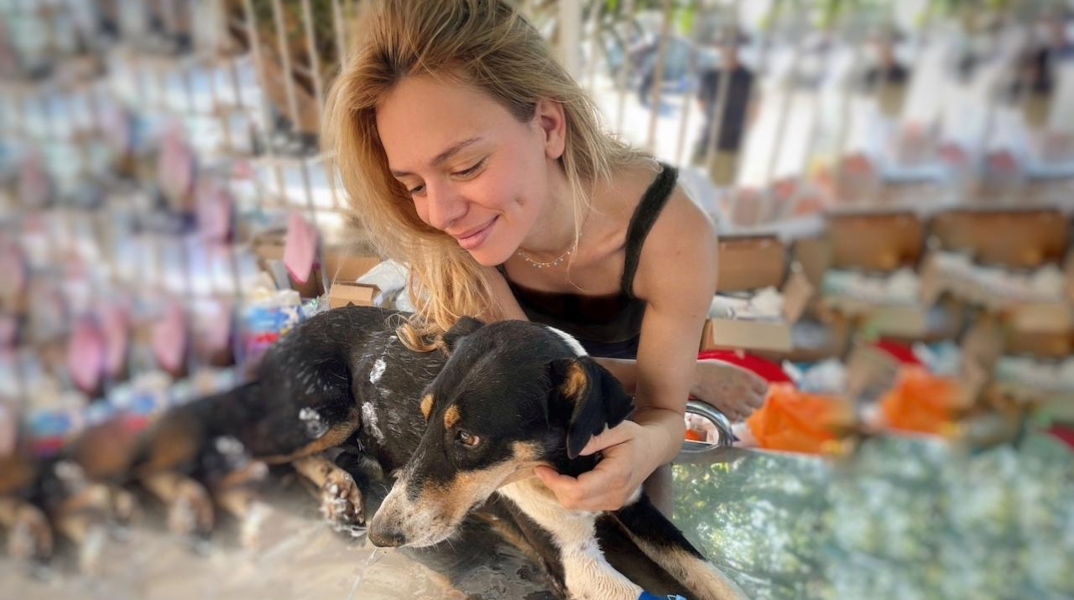 Αντικρουόμενη φιλοζωία: Βρήκα ένα ζώο, να το ανεβάσω ή θα πέσουν να με φάνε;