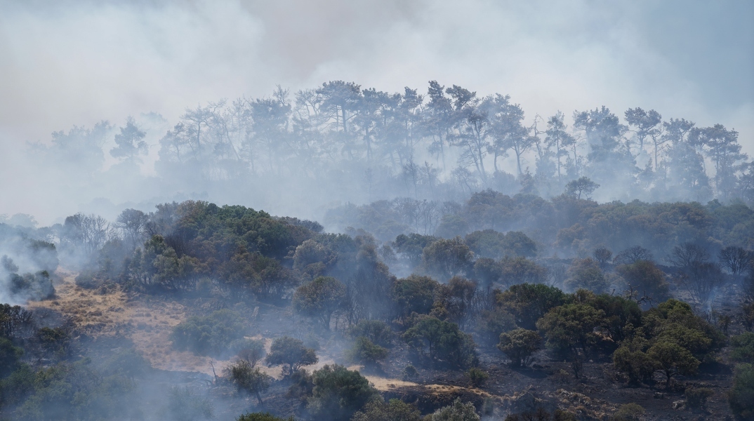 Φωτιά στη Λέσβο: Χωρίς ενεργό μέτωπο η φωτιά στο Μανταμάδο