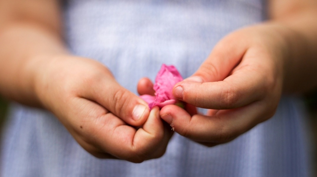 Τα χεράκια παιδιού που κρατά λουλουδάκι