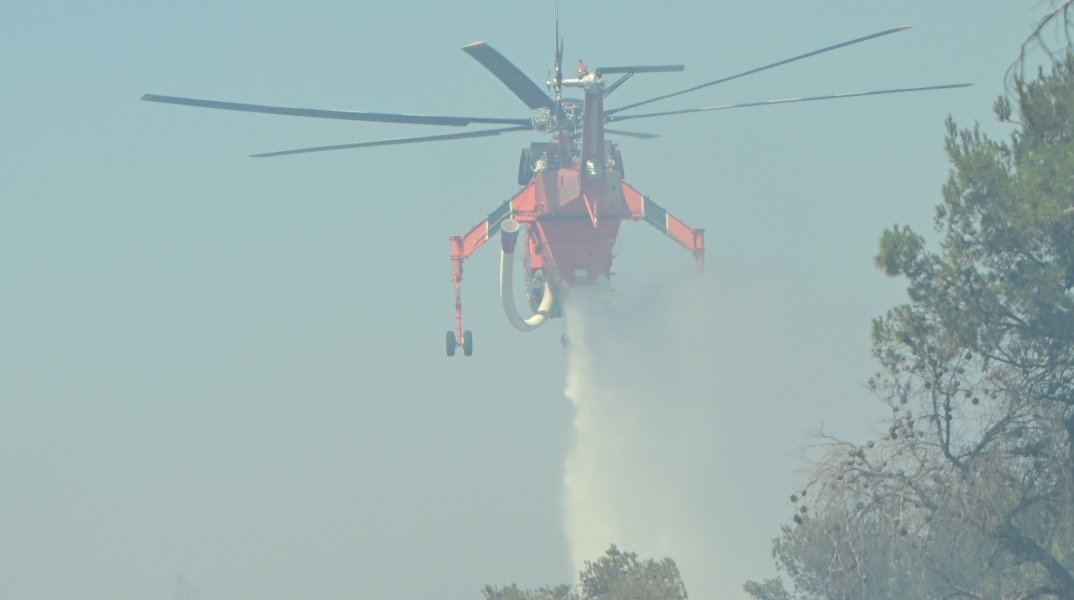 Φωτιά τώρα στα Φάρσαλα 