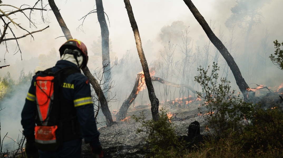 Φωτιά τώρα στην Πρέβεζα 